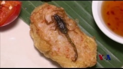 饮食新风尚—昆虫料理 饮食新风尚—昆虫料理