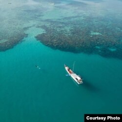 Kawasan terumbu karang di Taman Nasional Karimunjawa (Foto: Greenpeace Indonesia)