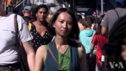 台湾艺术家展示物种多元与共生 台湾艺术家展示物种多元与共生