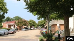 Ice-covered cherry blossoms are seen near the Potomac River in Washington, D.C. Winter Storm Stella dumped snow and sleet across the northeastern United States where thousands of flights were canceled and schools closed, but appeared less severe than initially forecast. 