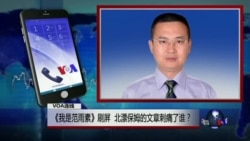 VOA连线:《我是范雨素》刷屏,北漂保姆的文章刺痛了谁? VOA连线:《我是范雨素》刷屏,北漂保姆的文章刺痛了谁?