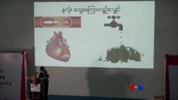 အဆီဓါတ်ကို ရှောင်ကျဉ်ပါ အဆီဓါတ်ကို ရှောင်ကျဉ်ပါ