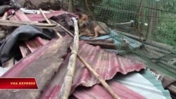 Miền Trung hậu bão lụt Miền Trung hậu bão lụt