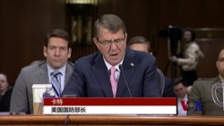 国会关于对抗IS地面部队的辩论 国会关于对抗IS地面部队的辩论