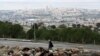 Seorang pria melewati sekumpulan ternak yang sedang merumput di kawasan "Givat Hamatos", dekat Yerusalem Timur, 15 November 2020. (REUTERS / Ronen Zvulun)