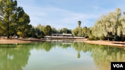 1月4号和5号,洛杉矶民主平台和中国民主党洛杉矶委员会成员聚会在洛杉矶和拉斯维加斯之间依山傍水的沙漠农场。