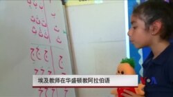 埃及教师在华盛顿教阿拉伯语 埃及教师在华盛顿教阿拉伯语