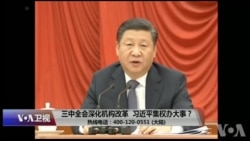 时事大家谈:三中全会深化机构改革,习近平集权办大事 时事大家谈:三中全会深化机构改革,习近平集权办大事