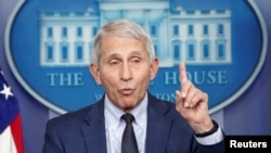 资料照片:弗契医生在白宫新闻简报会上谈美国发现的奥密克戎毒株病例。(2021年12月1日)