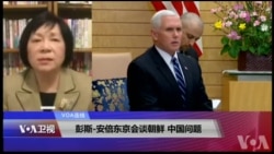 VOA连线(歌篮):彭斯-安倍东京会谈朝鲜、中国问题 VOA连线(歌篮):彭斯-安倍东京会谈朝鲜、中国问题