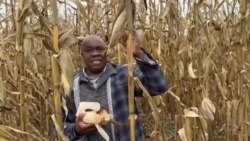 Murimi Anobva kuZimbabwe, VaMoses Rumano, Avo Vari Kurima kuOhio muAmerica, Vachitaura neZvekusvika kuMagumo kweMwaka weKurima 