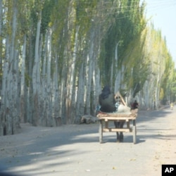 疏附县农村景象