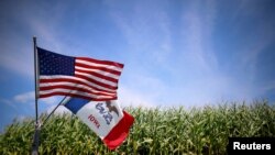 飘扬在爱奥华州玉米地里的美国国旗和爱奥华州州旗。 (资料照片)