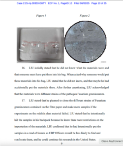 刑事诉状显示的海关和边境保护局人员在刘尊勇背包中查到的四个透明塑料袋,里面装有小块红色植物物质。