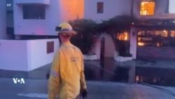 ባርዕ ጫካ ሎስ-ኣንጀለስ -- ብድምጺ ነበርቲ ባርዕ ጫካ ሎስ-ኣንጀለስ -- ብድምጺ ነበርቲ