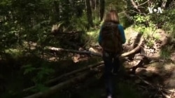 英语视频:亦真亦幻: 宝藏与寻宝的快乐同样重要 英语视频:亦真亦幻: 宝藏与寻宝的快乐同样重要