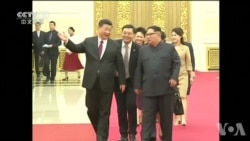 白宫将“习金会”视为积极一步 白宫将“习金会”视为积极一步