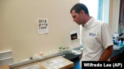 佛罗里达大学的一位助理教授在实验室中。(2019年7月31日