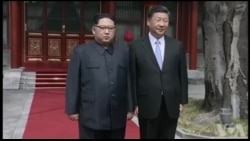 焦点对话:习、金握手,世界是福还是祸? 焦点对话:习、金握手,世界是福还是祸?