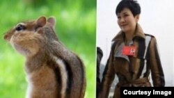 李小琳被讥讽与硕鼠“撞衫了!” (推特图片)