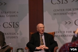 华盛顿智库史汀生中心亚洲项目主任容安澜 (美国之音钟辰芳拍摄)