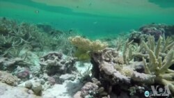 联合国秘书长:虽然川普要退出但美国社会履行巴黎协定 联合国秘书长:虽然川普要退出但美国社会履行巴黎协定