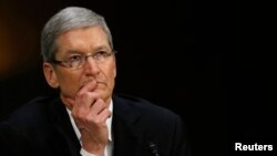 苹果公司的首席执行官库克(2013年5月)