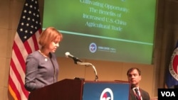 美国贸易代表办公室首席农业谈判代表维特大使在美国全国商会发表讲话（2016年11月21日，美国之音莉雅拍摄）