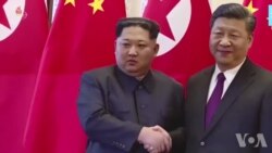 中国网店可淘朝鲜啤酒 北京朝鲜店卖海鲜茅台 中国网店可淘朝鲜啤酒 北京朝鲜店卖海鲜茅台