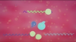 新型药物疗法允许身体自我修复基因缺陷 新型药物疗法允许身体自我修复基因缺陷