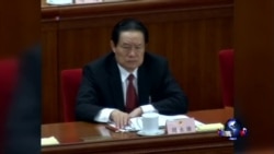 海峡论谈:习近平反腐对照蒋经国打虎 海峡论谈:习近平反腐对照蒋经国打虎