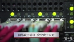 网络攻击猖狂 企业疲于应对 网络攻击猖狂 企业疲于应对