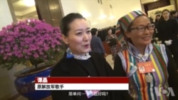 两会直击:谭晶、黄奇帆露面 军内照习近平指示反腐 两会直击:谭晶、黄奇帆露面 军内照习近平指示反腐