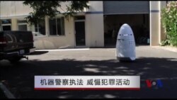 机器警察执法 威慑犯罪活动 机器警察执法 威慑犯罪活动