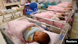 台湾台北一家妇产医院的新生儿室。(2011年10月3日)