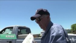 中国收紧美国大豆进口标准 中国收紧美国大豆进口标准