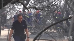 希腊雅典附近山火造成至少49人死亡 希腊雅典附近山火造成至少49人死亡