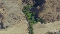 当一把牧场主:与自然的零距离接触 当一把牧场主:与自然的零距离接触