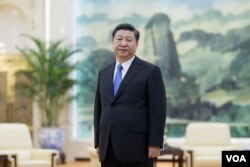 习近平在北京人民大会堂,在会见俄罗斯高官之前(2016年3月15日)