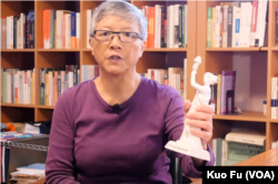 民运学者王超华（美国之音国符拍摄）