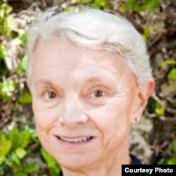 金德芳,迈阿密大学政治学教授