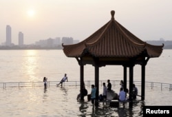 长江的武汉江段涨水(2015年6月19日)