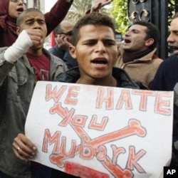 示威者手持标语:穆巴拉克,我们恨你