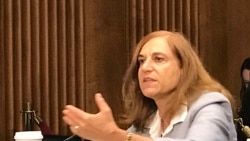 战略与国际研究中心亚洲资深顾问及中国权力项目主任葛莱仪2019年9月4日参加美中经济与安全审查委员会听证会(美国之音锺辰芳拍摄)