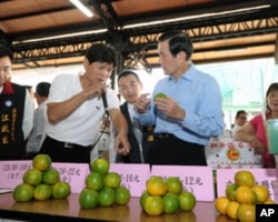 马英九到水果产地视察,并且收购柿子