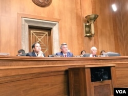 参议院外交关系委员会亚太小组委员会就南中国海裁决举行听证会 (美国之音张佩芝拍摄)