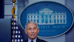 白宫主要医疗顾问、美国国立过敏和传染病研究所(NIAID)所长安东尼·弗契(美联社资料图)