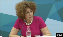 前欧盟特使罗曼娜·弗拉胡廷