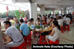 玉林狗肉节上捂着脸吃狗肉的食客们。