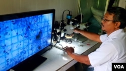 Andreas, dari Ecoton, sedang meneliti partikel mikroplastik yang diambil dari saluran air pembuangan sejumlah pabrik kertas di sepanjang sungai Surabaya (foto Petrus Riski/VOA).